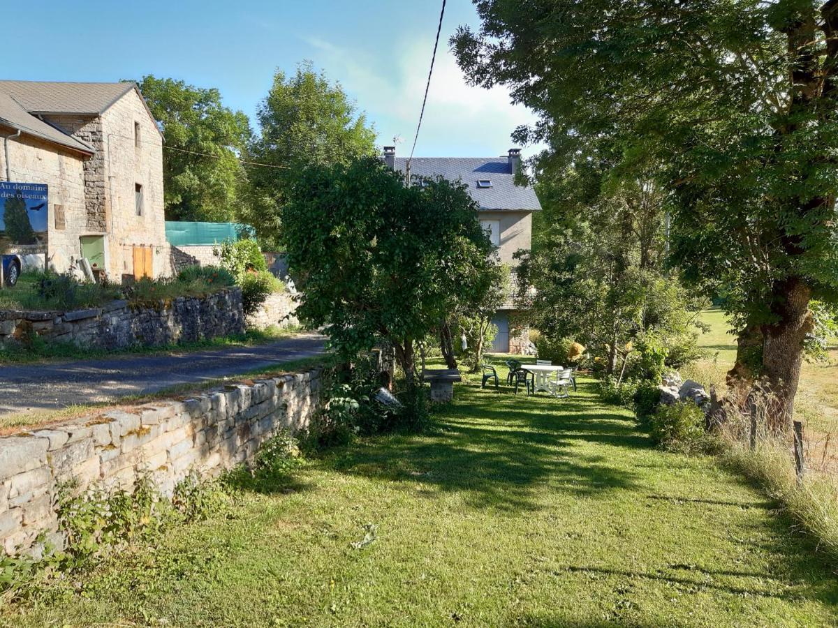 Bed and Breakfast Au Domaine Des Oiseaux Montredon  Esterno foto
