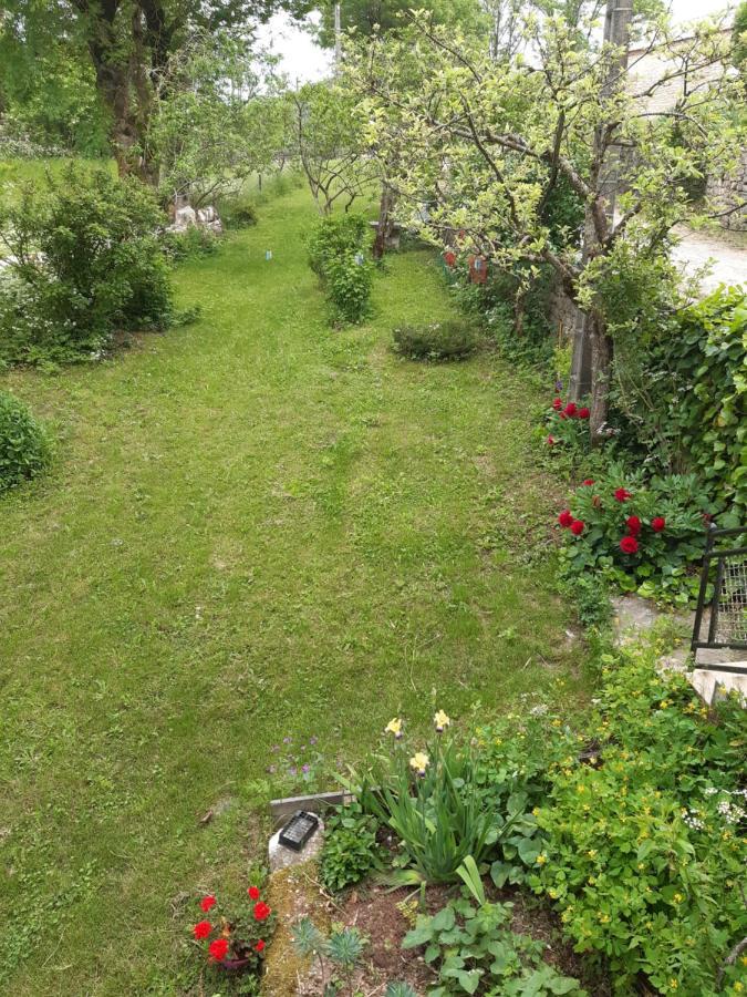 Bed and Breakfast Au Domaine Des Oiseaux Montredon  Esterno foto