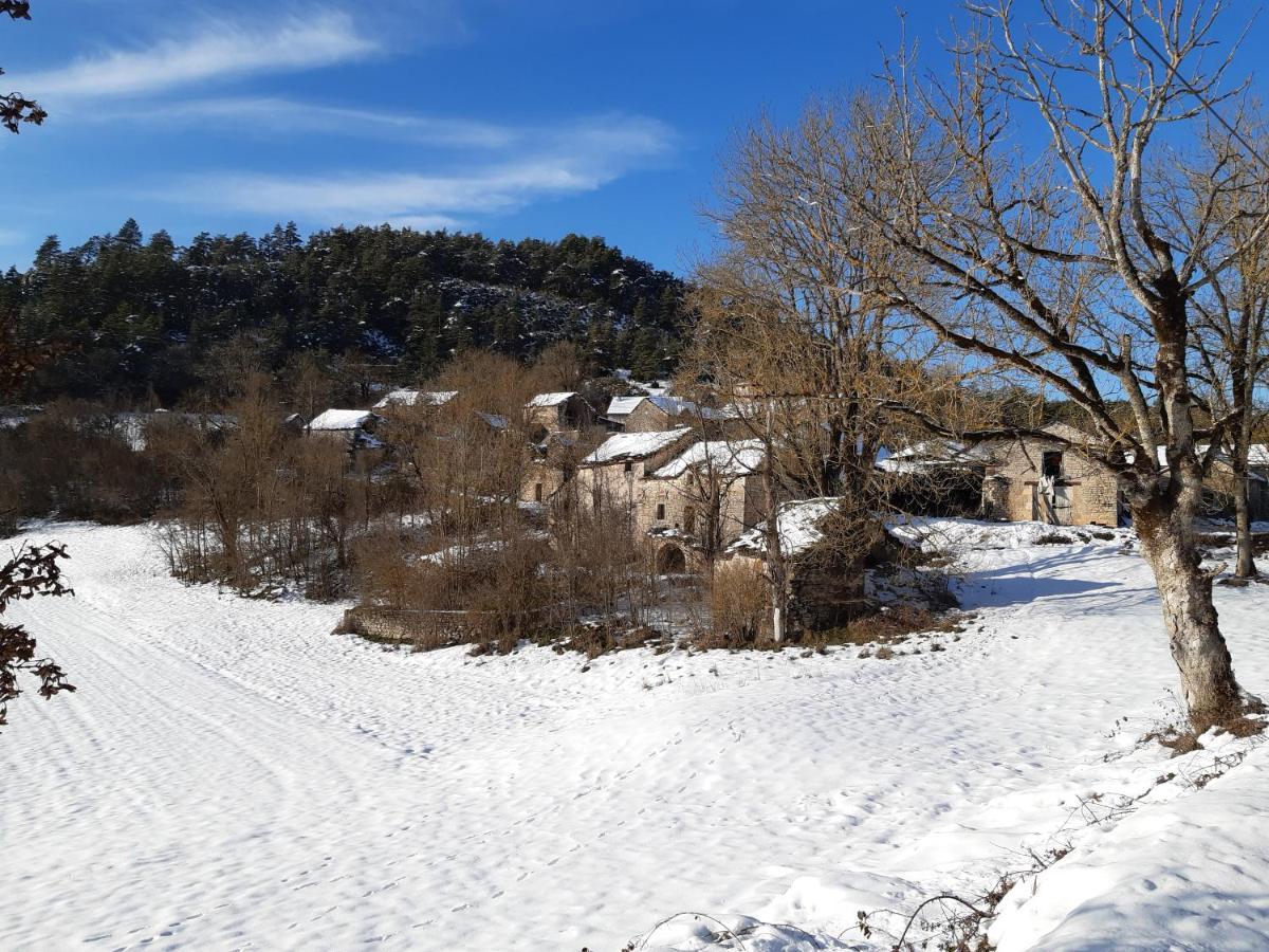 Bed and Breakfast Au Domaine Des Oiseaux Montredon  Esterno foto